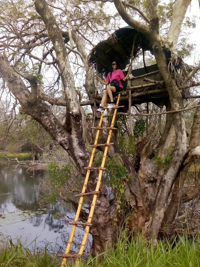 דירות דמבולה Family Nest מראה חיצוני תמונה